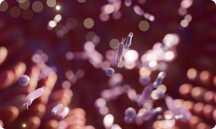 Repopulate The Microbiome.